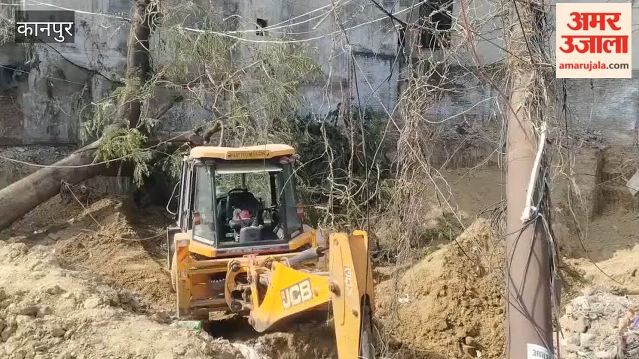 Kanpur:पेड़ गिरने से छह बिजली खंभे टूटे, दुकान में बैठा युवक घायल ...