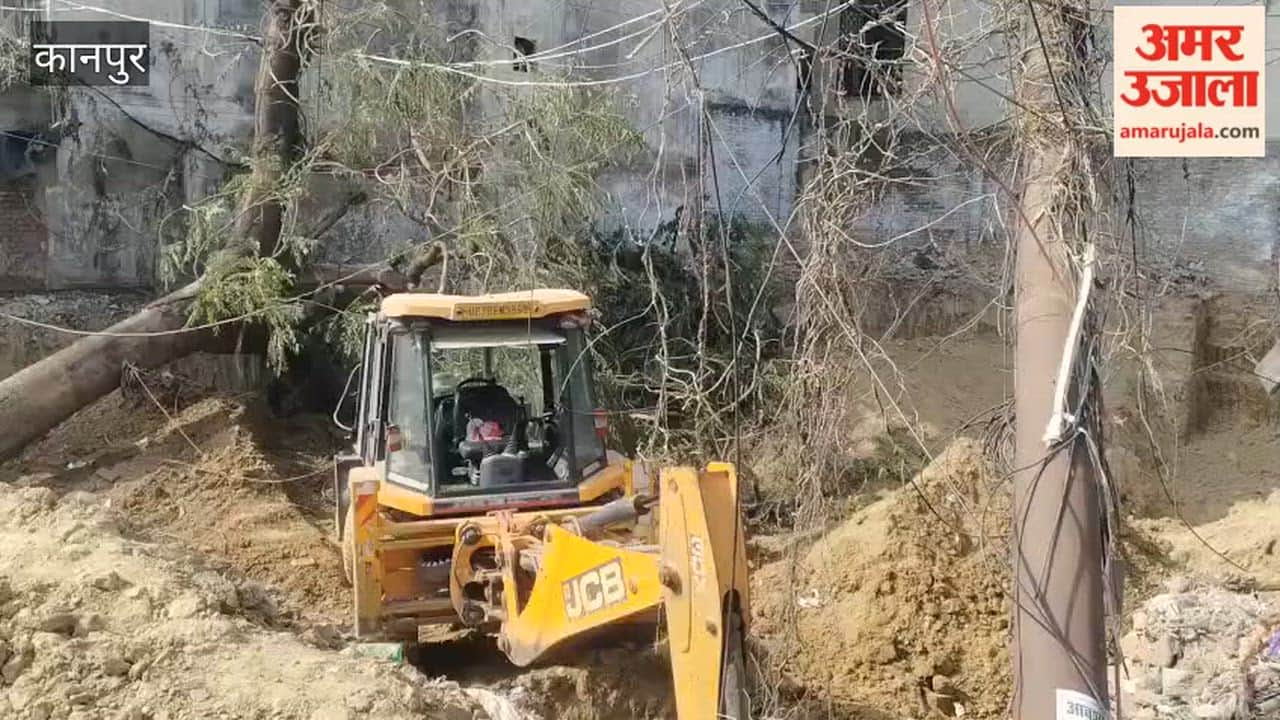 Kanpur Six Electric Poles Toppled After Tree FallsYouth Sitting in Shop Injured