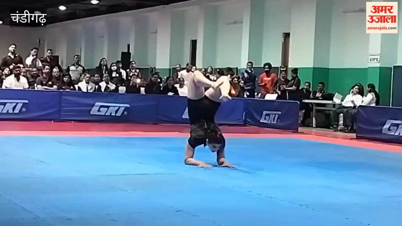 Yoga Competition Organized in Sector 23, Chandigarh