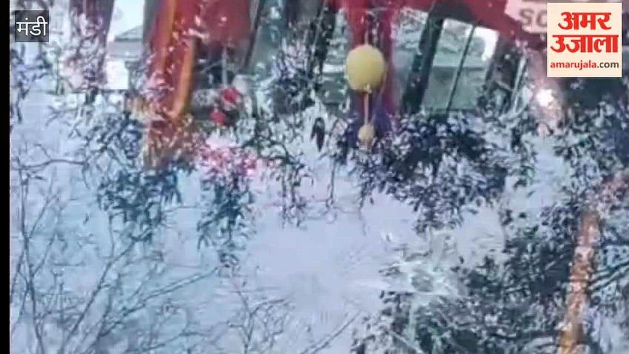 Mandi Private School Bus Windows Smashed, Side Mirrors Stolen in Ladbharol