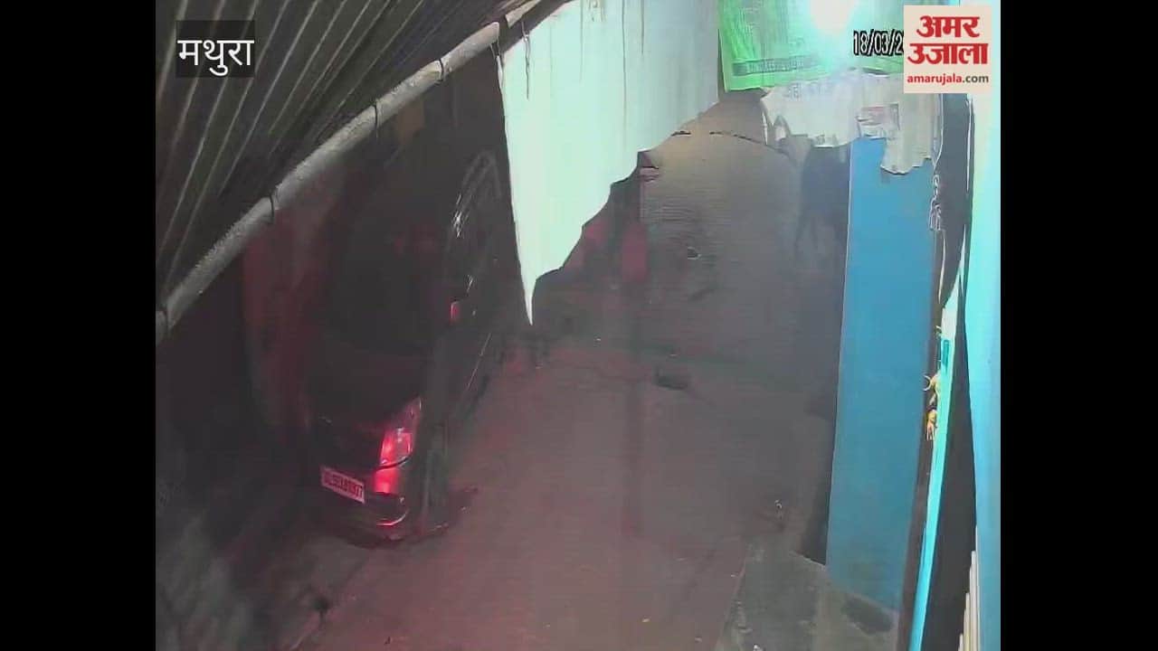 Violence Erupts Over Theft Suspicion Brutal Clash Leaves Several Injured