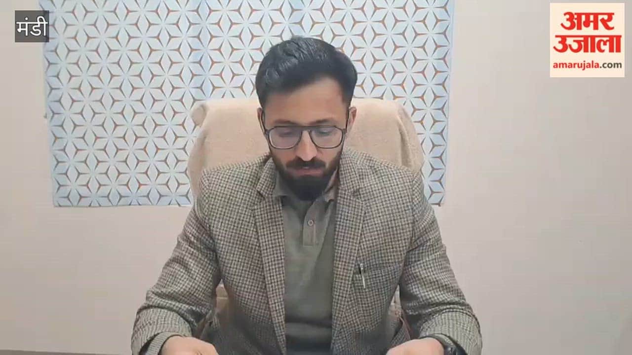 Mandi Job Fair for Youth to be Held in Mandi on March 24 196 Posts Across Various Categories to be Filled