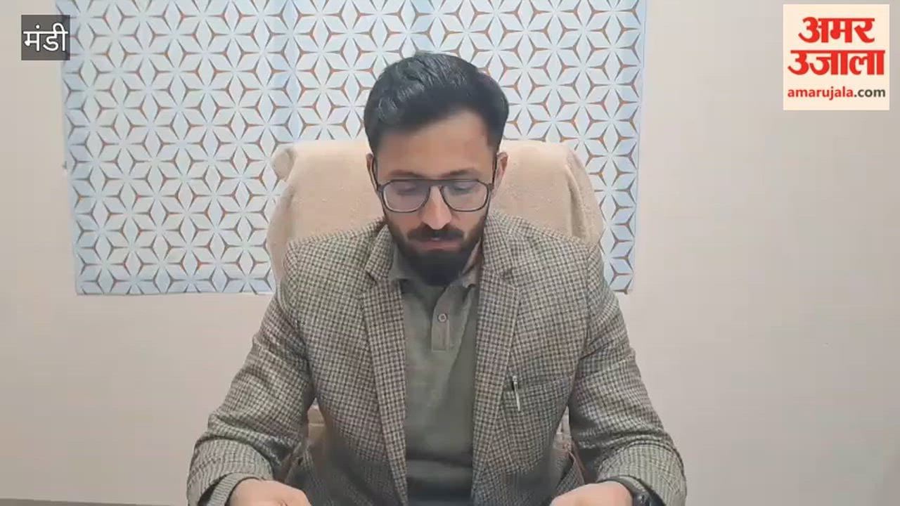 Mandi Job Fair for Youth to be Held in Mandi on March 24 196 Posts Across Various Categories to be Filled