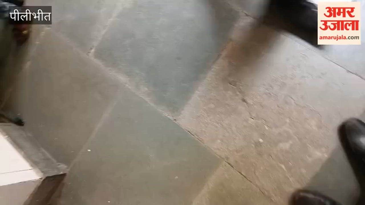 Two Devotees Riding E-Rickshaw Killed in Car Collision in Pilibhit