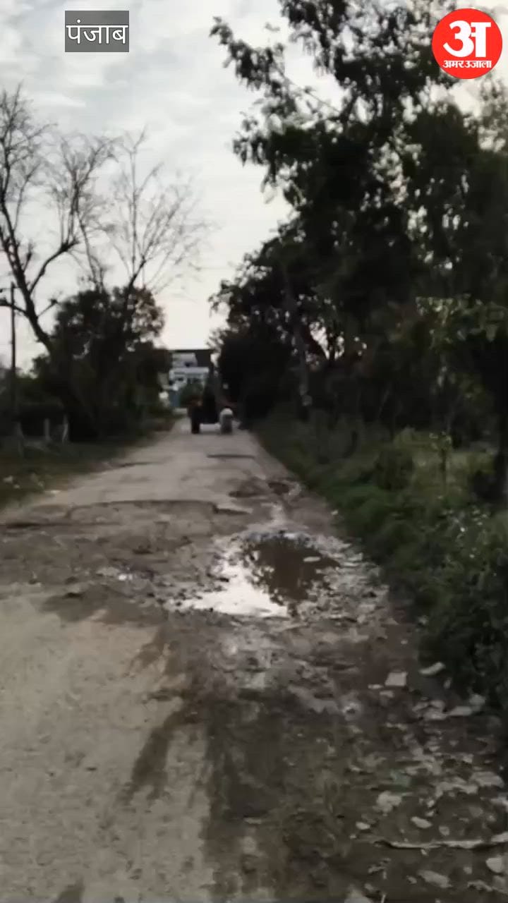 पठानकोट में गाय के बछड़े के साथ क्रूरता करने वाले व्यक्ति पर केस