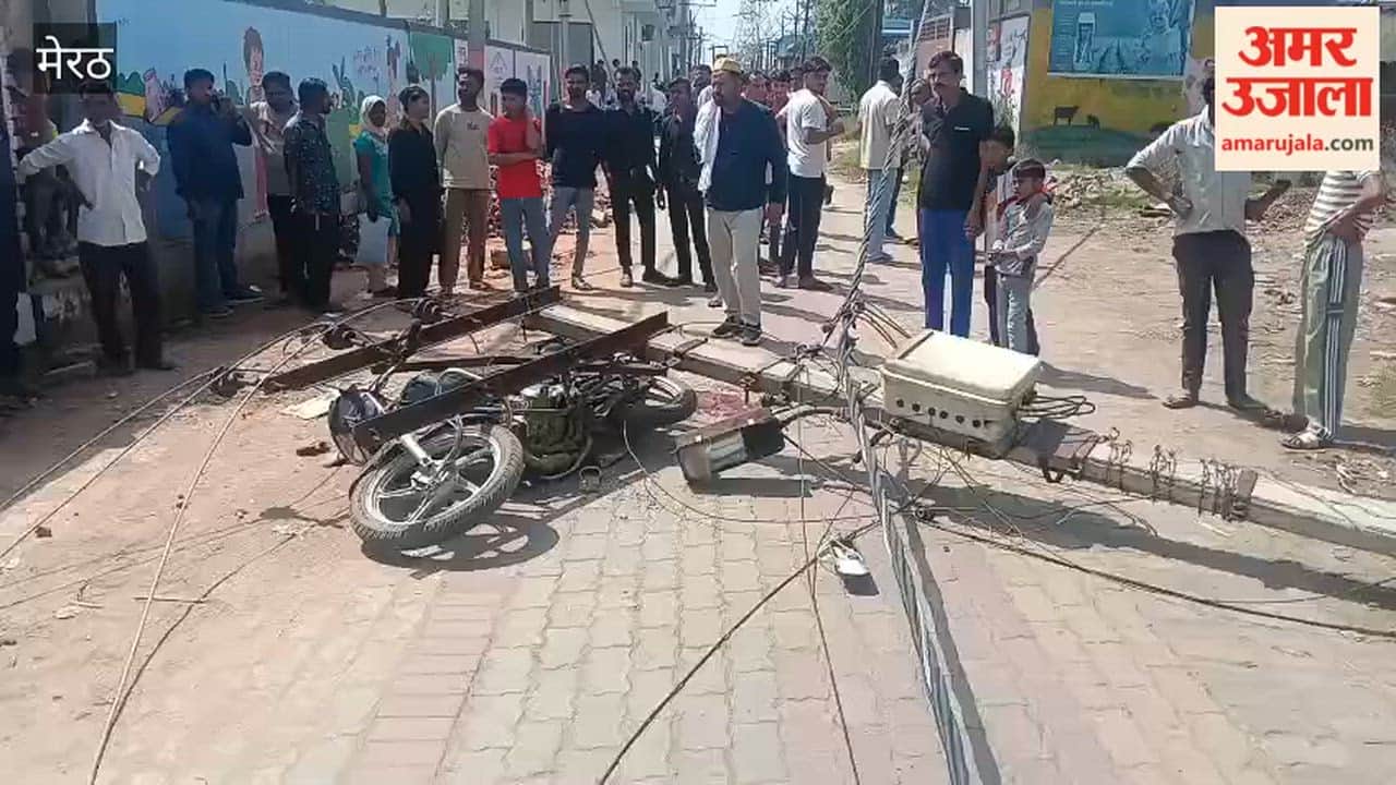 Meerut: Truck hits four pillars, three injured