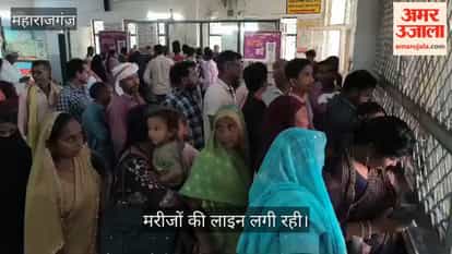 The problem of allergies is increasing due to changing weather.