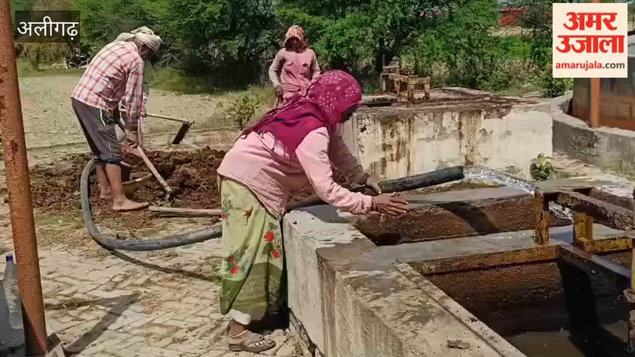 Biogas Plant Paving Way to Self-Reliance Amidst Gas Crisis