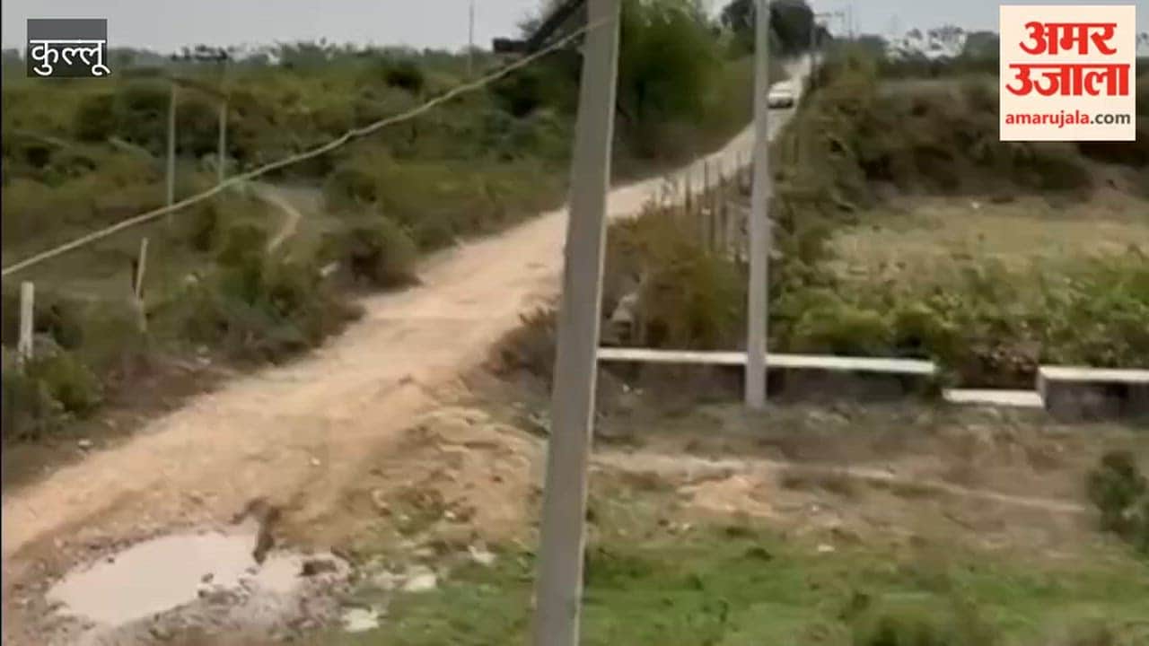 Kullu Shubham Secures Fourth Place in Cross-Country Car Rally