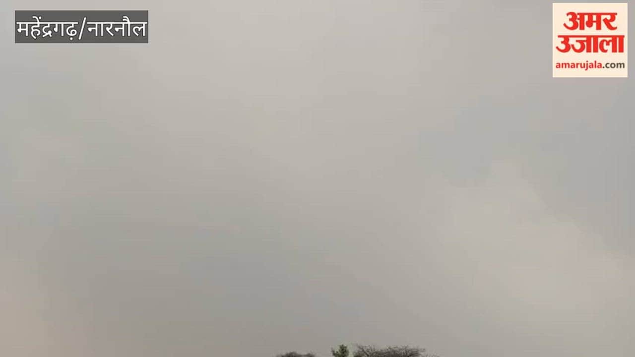 Drizzle begins in Narnaul