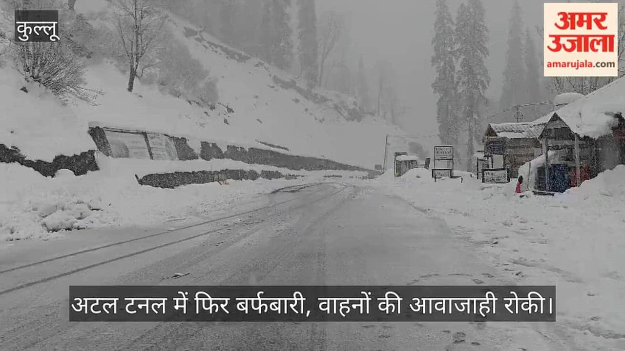Snowfall Returns to Atal Tunnel; Vehicular Movement Halted