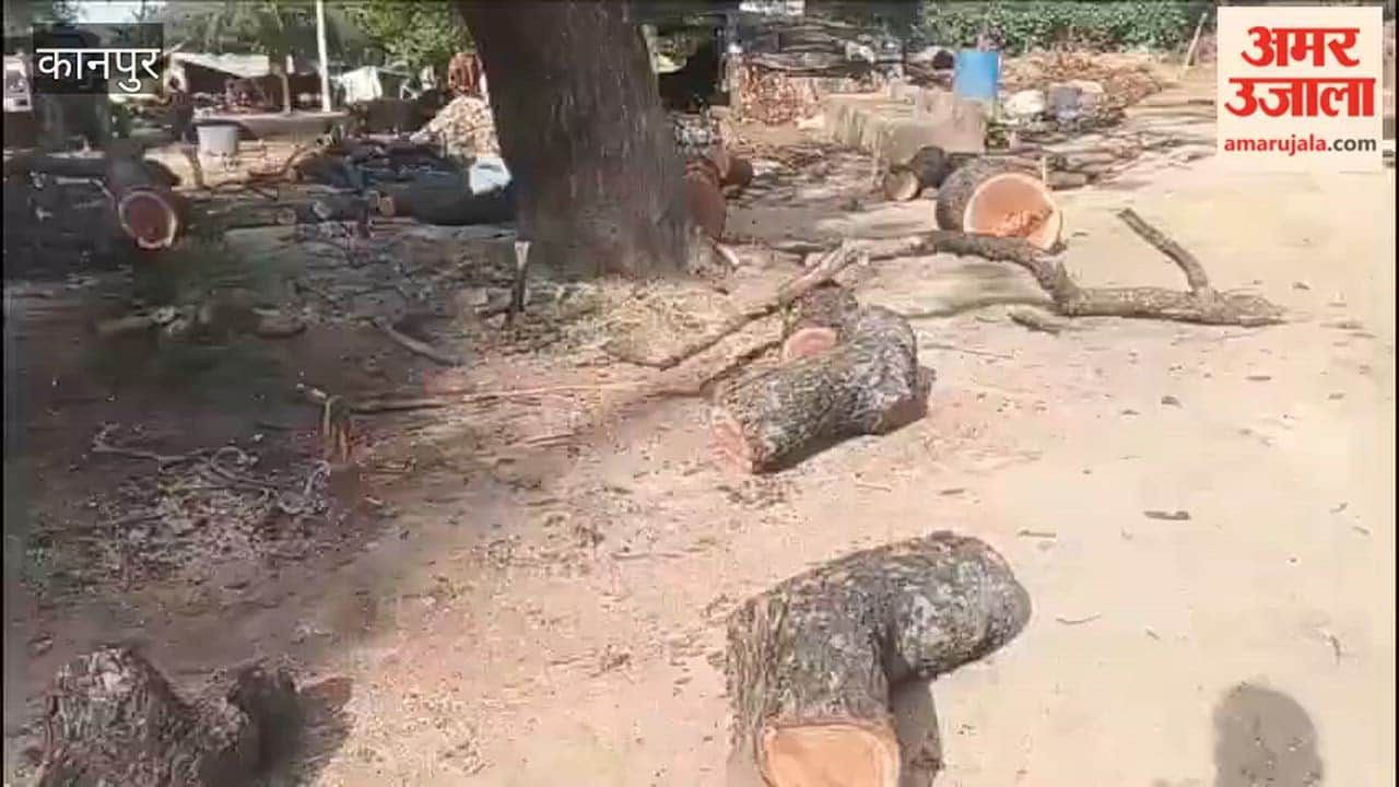 Saw Wielded Against Protected Neem Tree; Police Detain Suspects