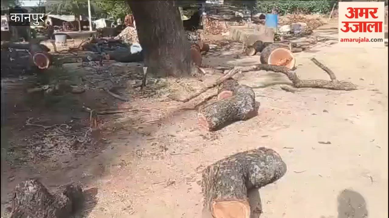 Saw Wielded Against Protected Neem Tree; Police Detain Suspects
