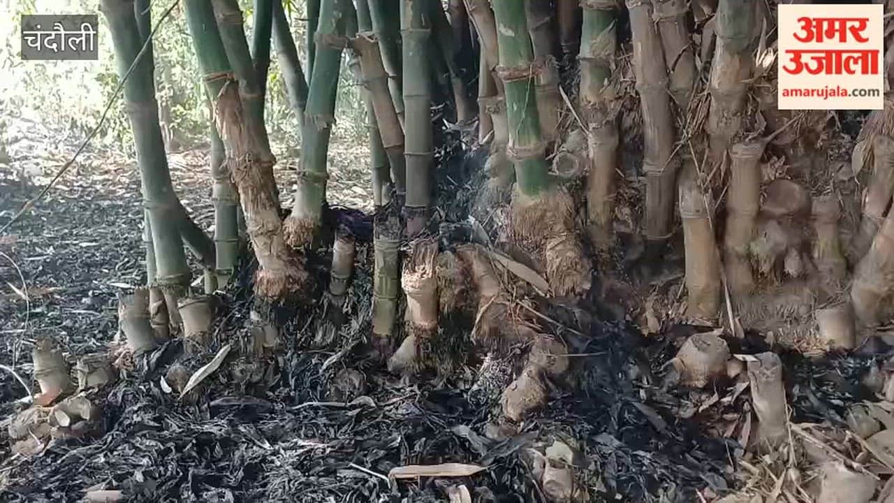 Massive Fire Erupts in Bamboo Grove Villagers Battle to Bring It Under Control