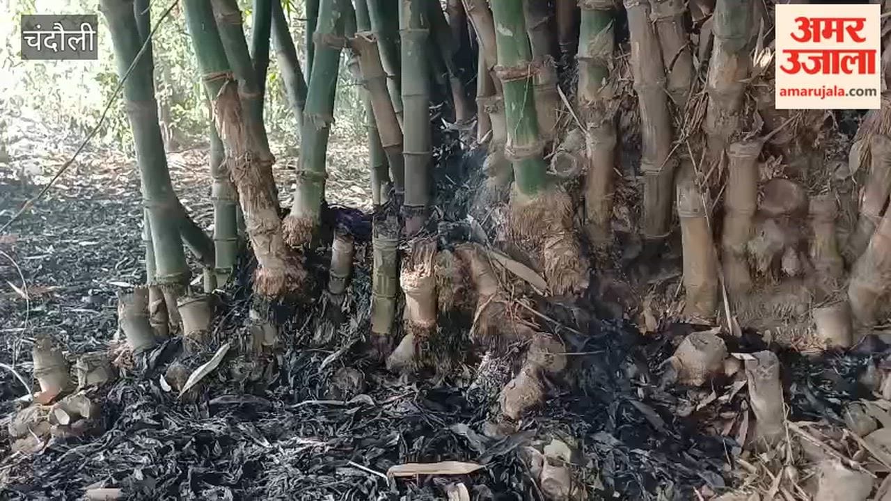 Massive Fire Erupts in Bamboo Grove Villagers Battle to Bring It Under Control