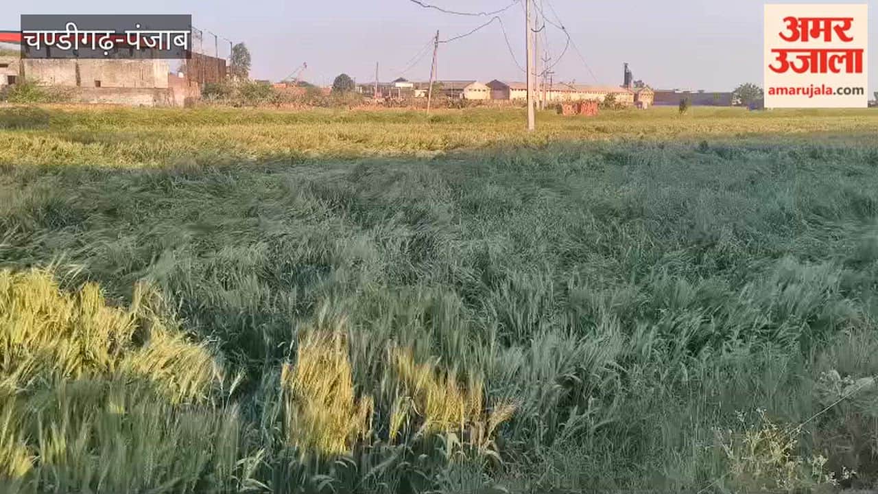 Hailstorm accompanied by strong winds hits Guru Har Sahai; farmers concerned.