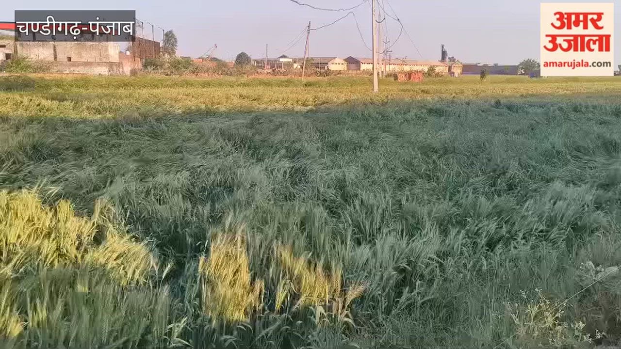 Hailstorm accompanied by strong winds hits Guru Har Sahai; farmers concerned.