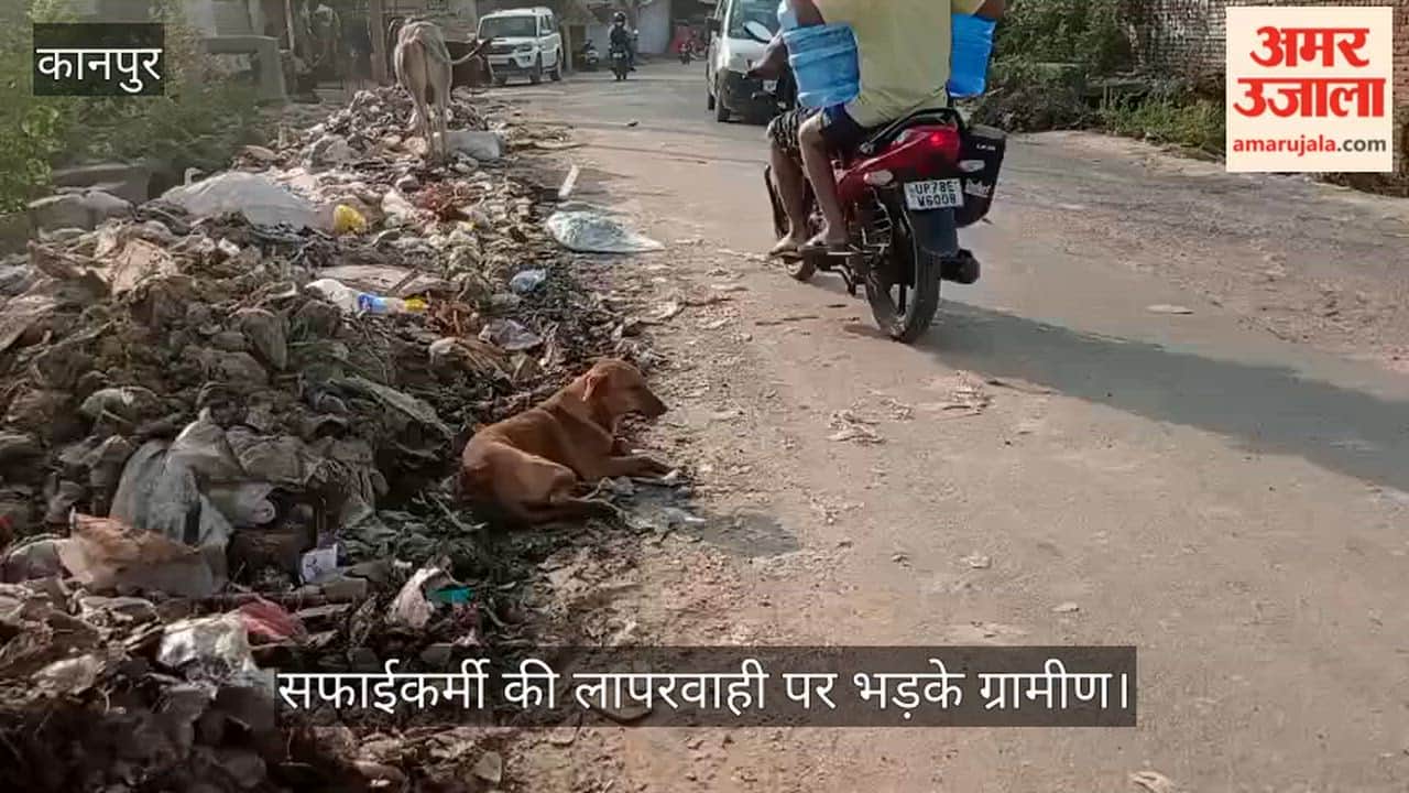 कानपुर: टिकरा मार्ग पर गंदगी का अंबार; बदबू से राहगीरों का निकलना दूभर