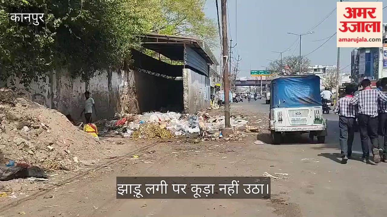 कानपुर: एयरफोर्स गेट के पास कूड़े का राज, सफाई के नाम पर खानापूर्ति कर रहा नगर निगम