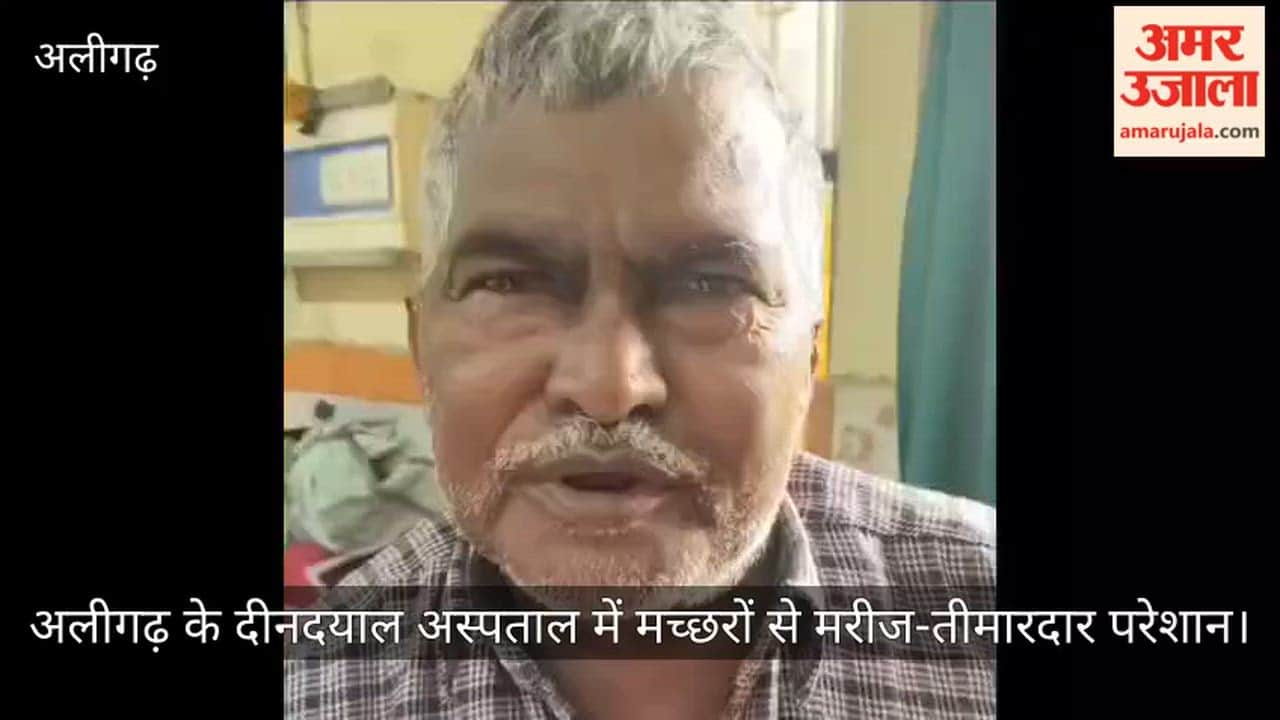 अलीगढ़ के दीनदयाल अस्पताल में मच्छरों से मरीज-तीमारदार परेशान