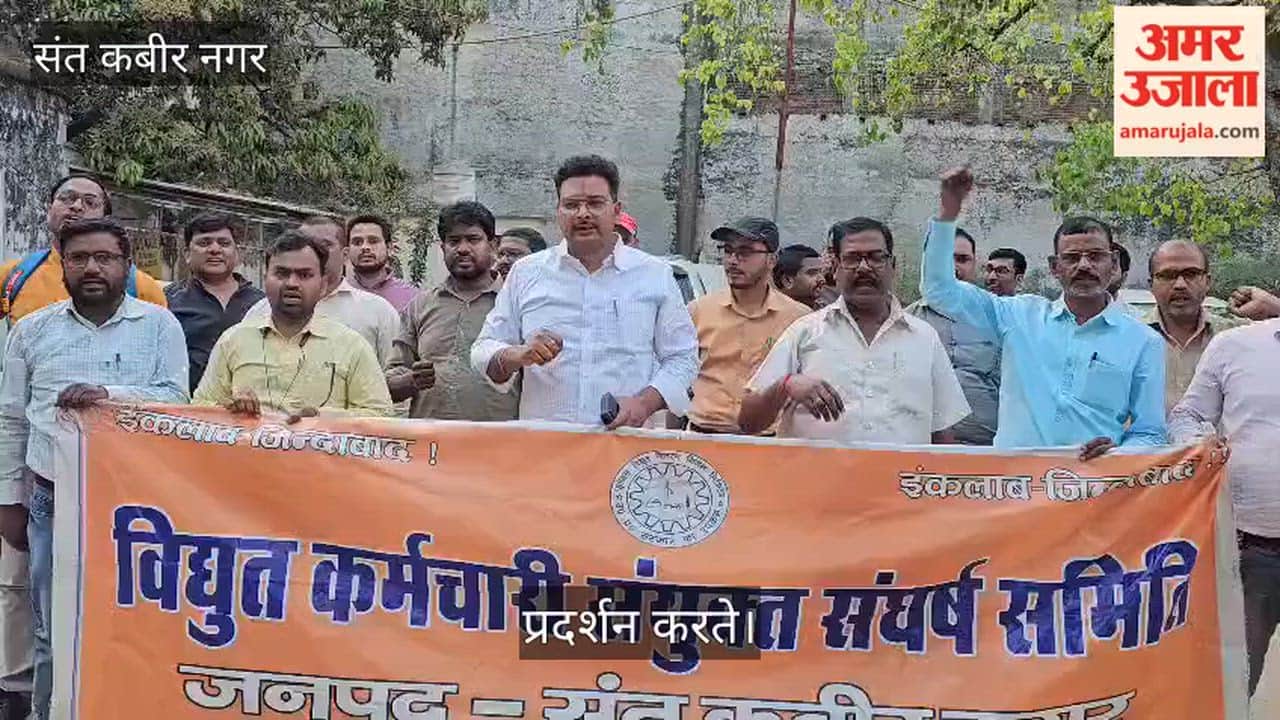 The Electricity Amendment Bill will be opposed at every level.