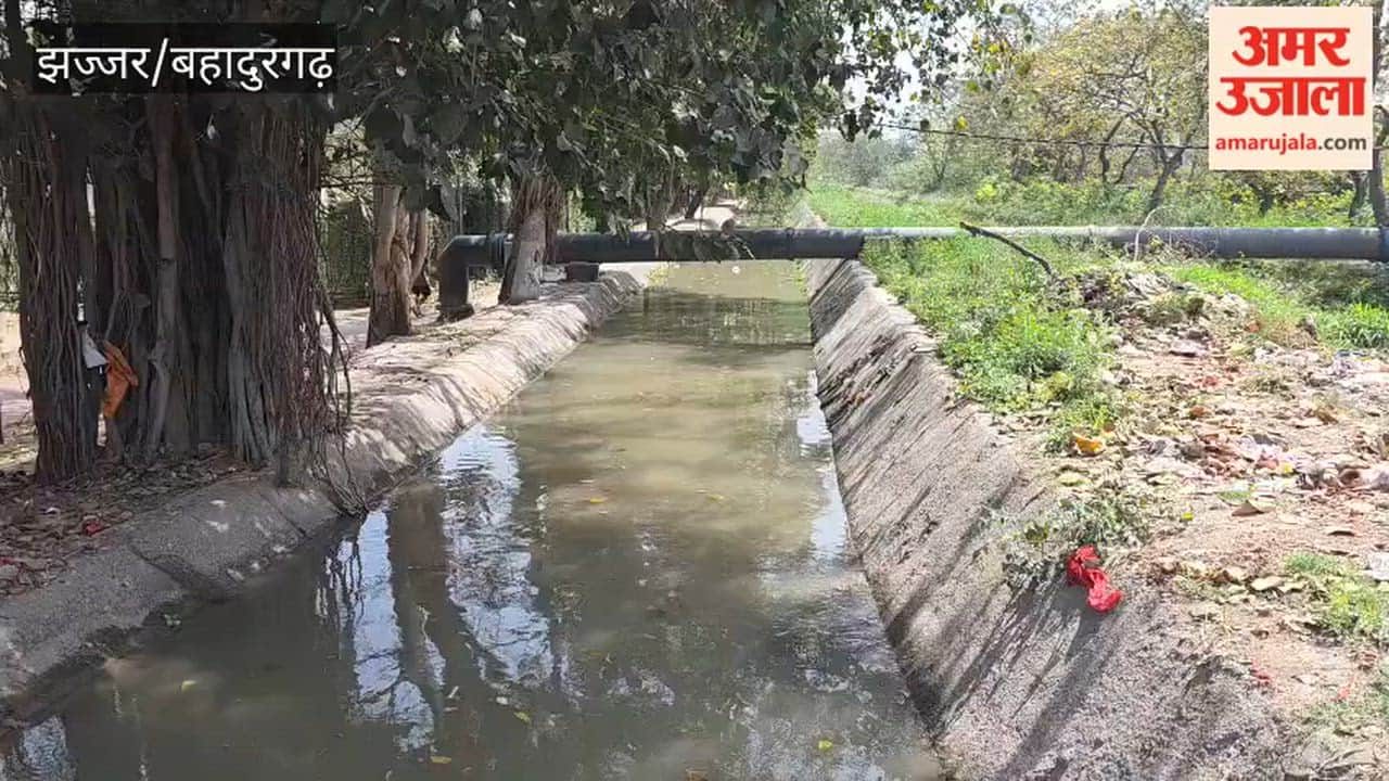 Bahadurgarh water channel will be cleaned before summer