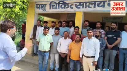 Animal Friends have been instructed to visit every village to carry out Artificial Insemination and feeding for livestock