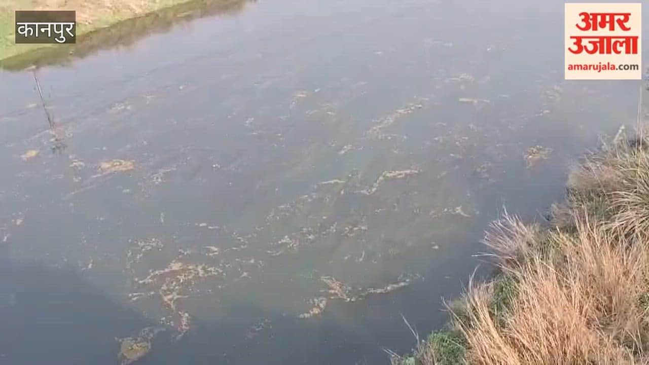 Water Levels Rise in the Rind River: A Relief for 31 Villages in Bhitargaon