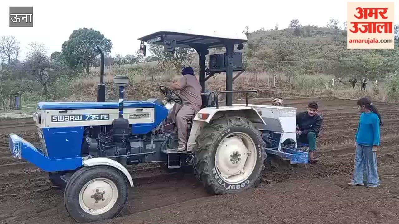 Una Growing Interest in Sugarcane Cultivation; Farmer Satish Kumar Begins Sowing