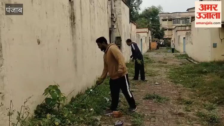फगवाड़ा की थापर कॉलोनी में नगर निगम ने झाड़ एवं जंगली जड़ी बूटियों की सफाई करवाई