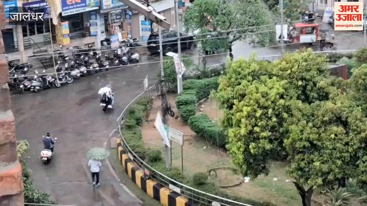 Rainfall intensifies cold in Jalandhar; markets lose their vibrancy.