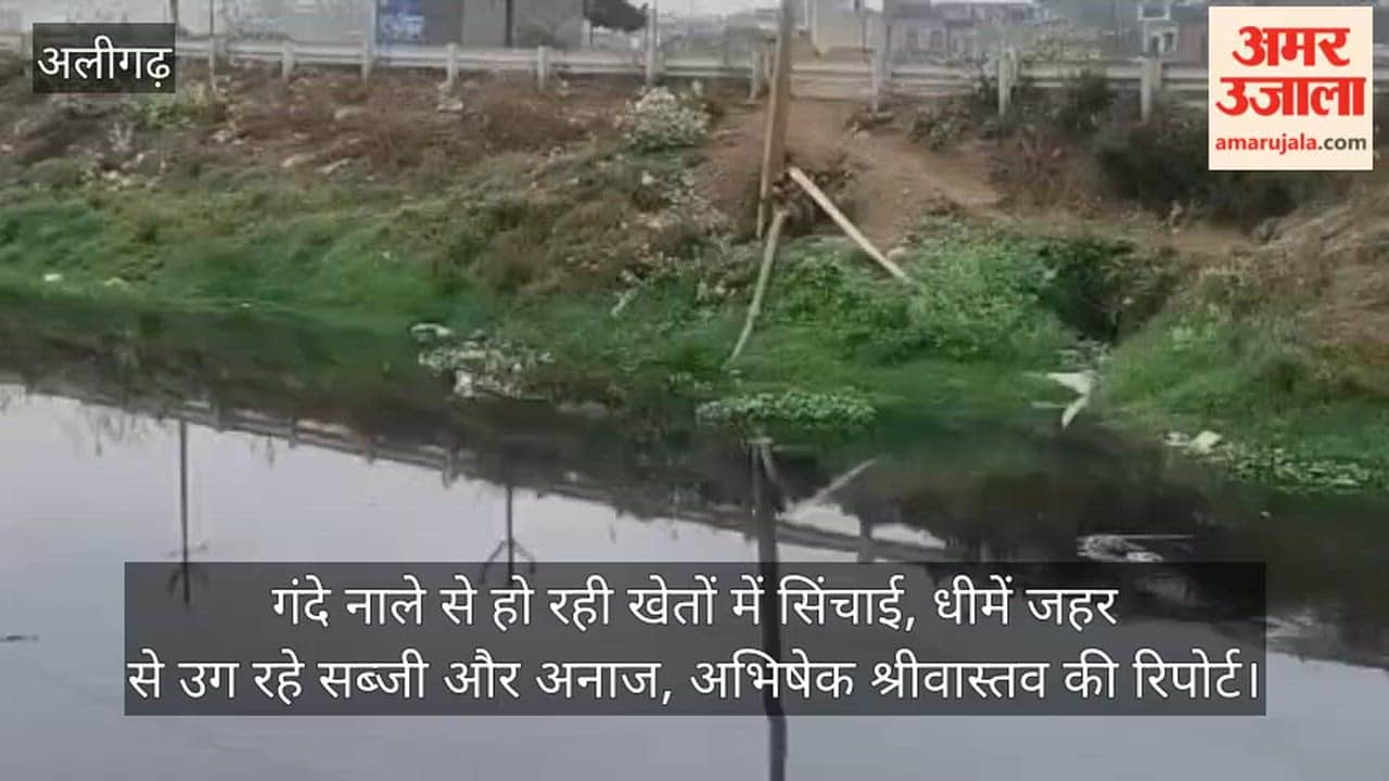 गंदे नाले से हो रही खेतों में सिंचाई, धीमें जहर से उग रहे सब्जी और अनाज, अभिषेक श्रीवास्तव की रिपोर्ट