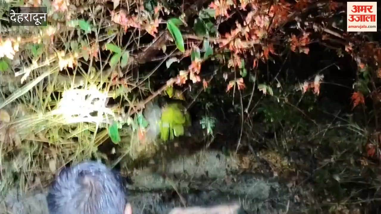 Mussoorie: Vehicle crashes near Shikhar Falls; SDRF rescues two people from the gorge