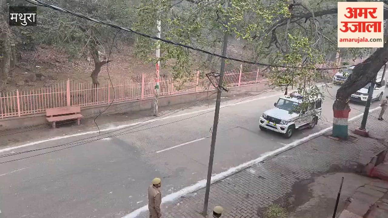 President  Droupadi Murmu Visits Govardhan Offers Prayers