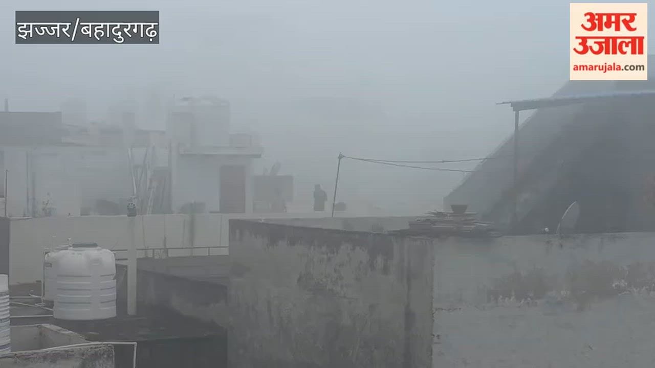 fog in bahadurgarh