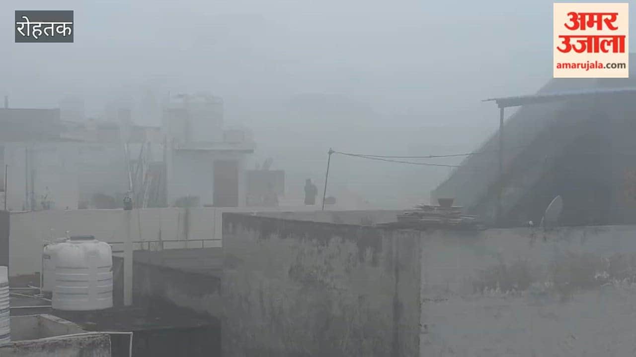 Fog blankets Rohtak in the morning; vehicles navigate with a visibility of 30 meters.