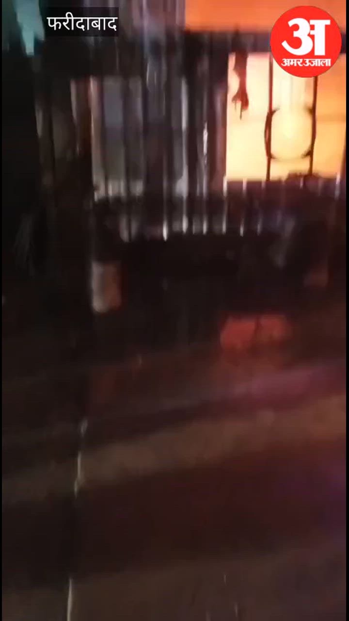 Faridabad Fire: फरीदाबाद की प्लेक्सस कंपनी में भीषण आग, दमकल-पुलिस पहुंची