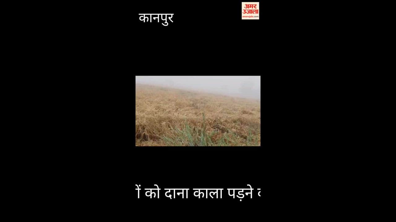 कानपुर: घाटमपुर में आधी रात बरसी आफत, तेज बारिश से खेतों में बिछी गेहूं की फसल