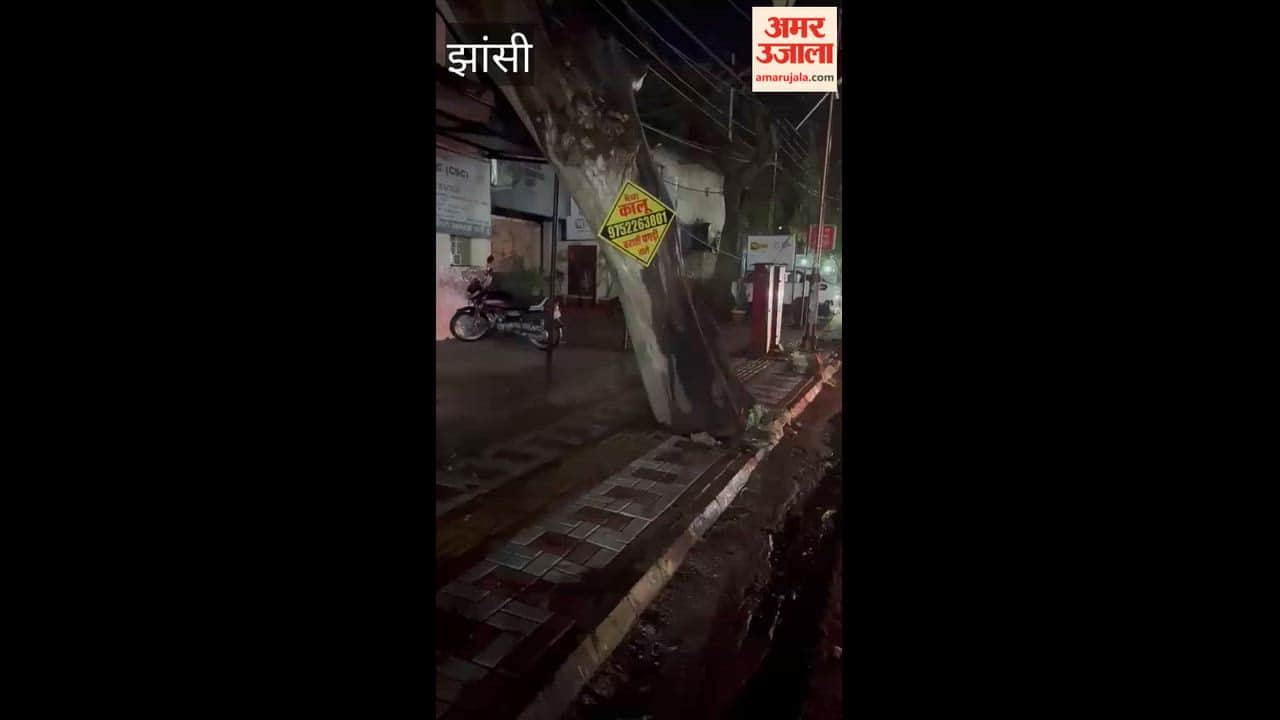 A dry tree fell on the line near BKD, affecting all the feeders in the city.