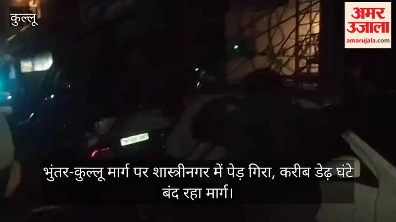 Tree Falls in Shastri Nagar on Bhuntar-Kullu Road; Route Remains Closed for Approximately One and a Half Hours.