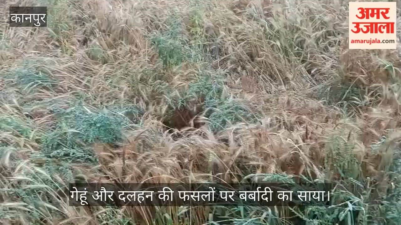 कानपुर: तेज आंधी-बारिश से खेतों में बिछी फसल, किसान बोले- अब कैसे होगा गुजारा?