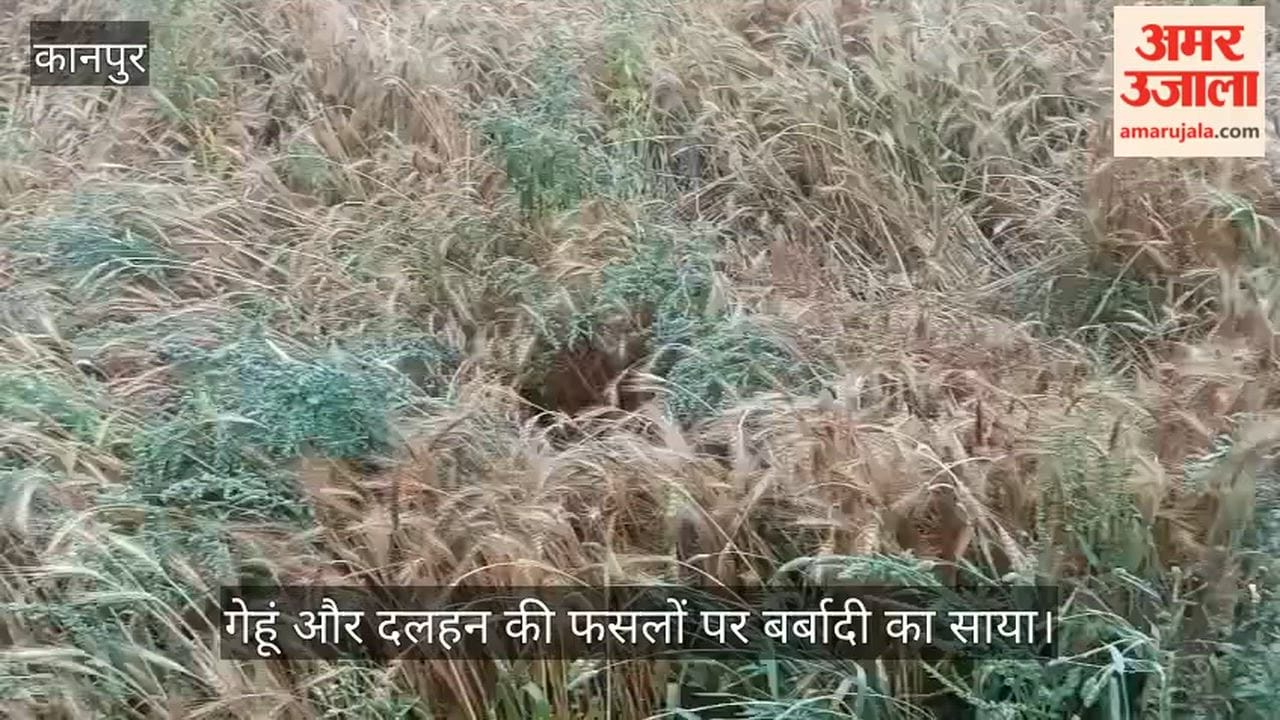 कानपुर: तेज आंधी-बारिश से खेतों में बिछी फसल, किसान बोले- अब कैसे होगा गुजारा?