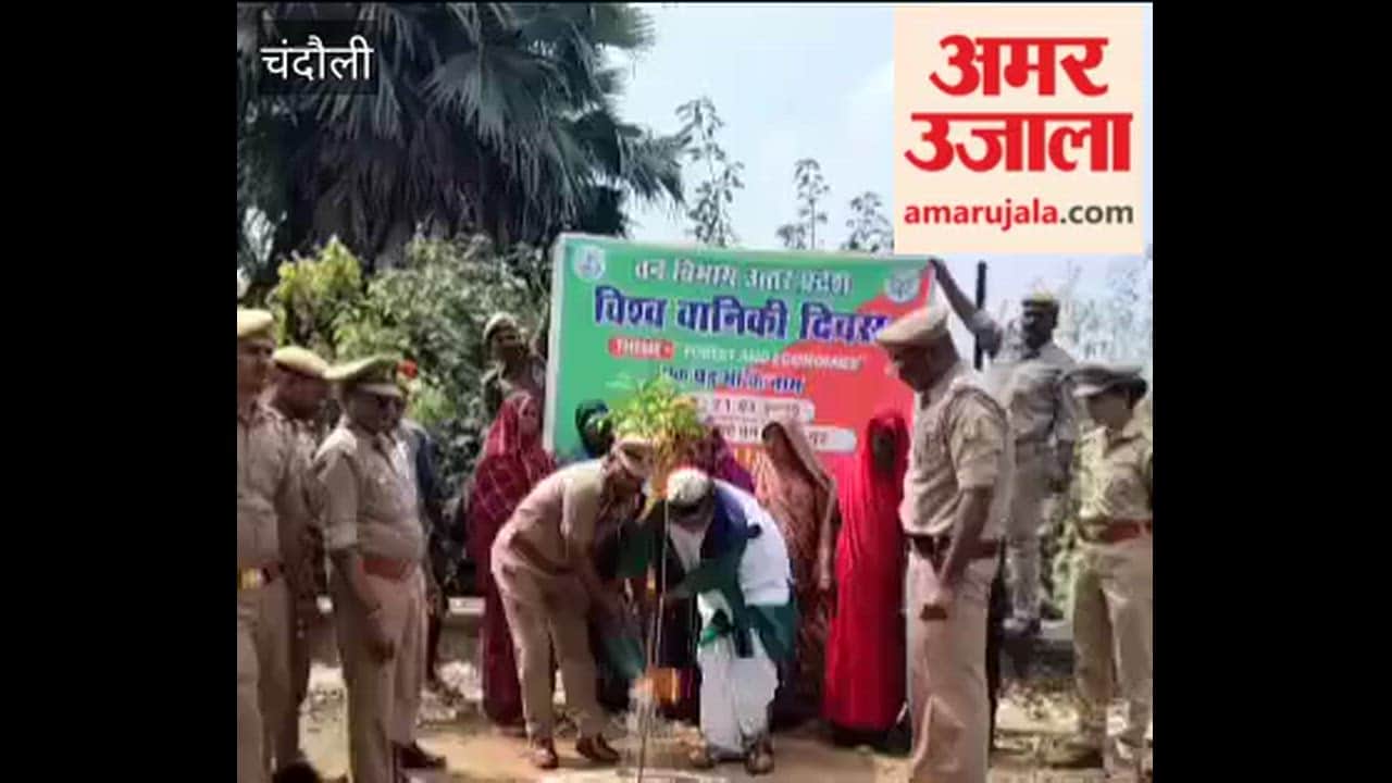 Saplings Planted Under Tree in Mother Name Campaign on World Forestry Day