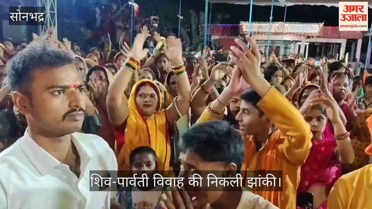 Tableau of Shiva and Parvati's Wedding Procession Taken Out; Wedding Guests Dance with Ecstasy