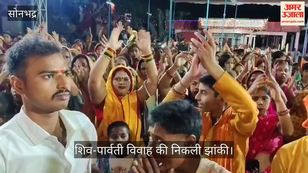 Tableau of Shiva and Parvati's Wedding Procession Taken Out; Wedding Guests Dance with Ecstasy