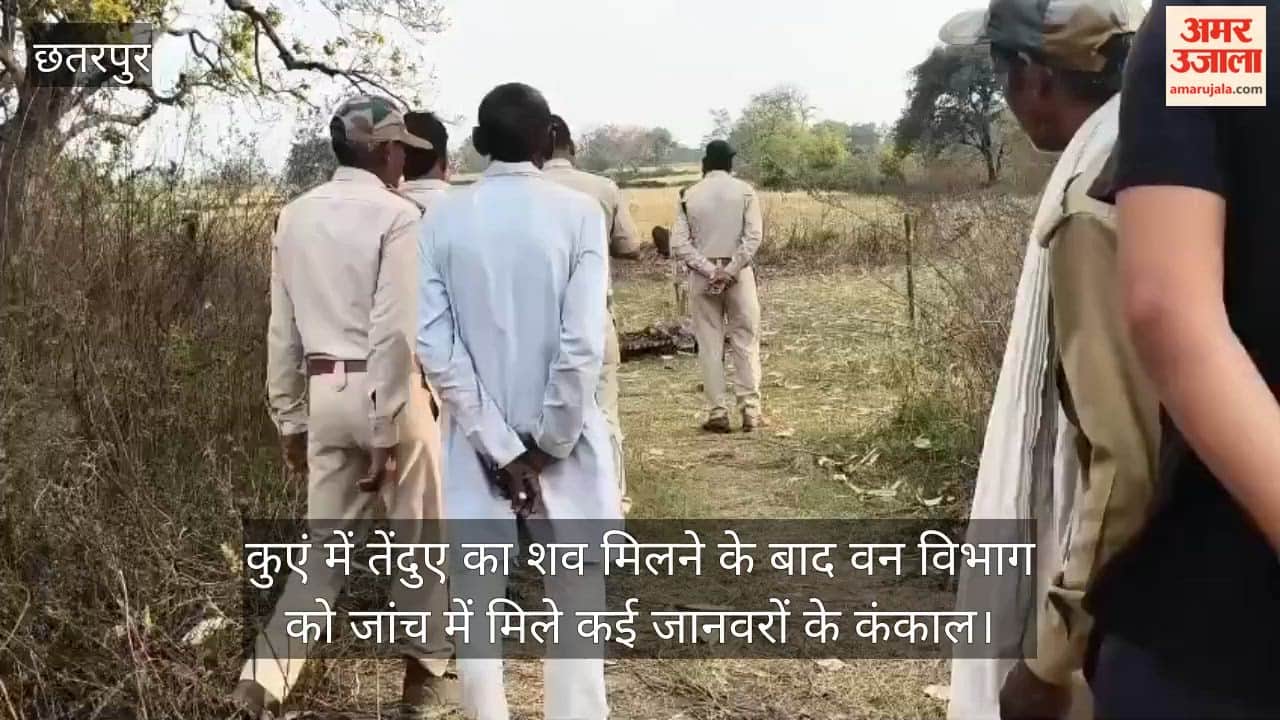 After the body of a leopard was found in a well, the forest department found skeletons of many animals during