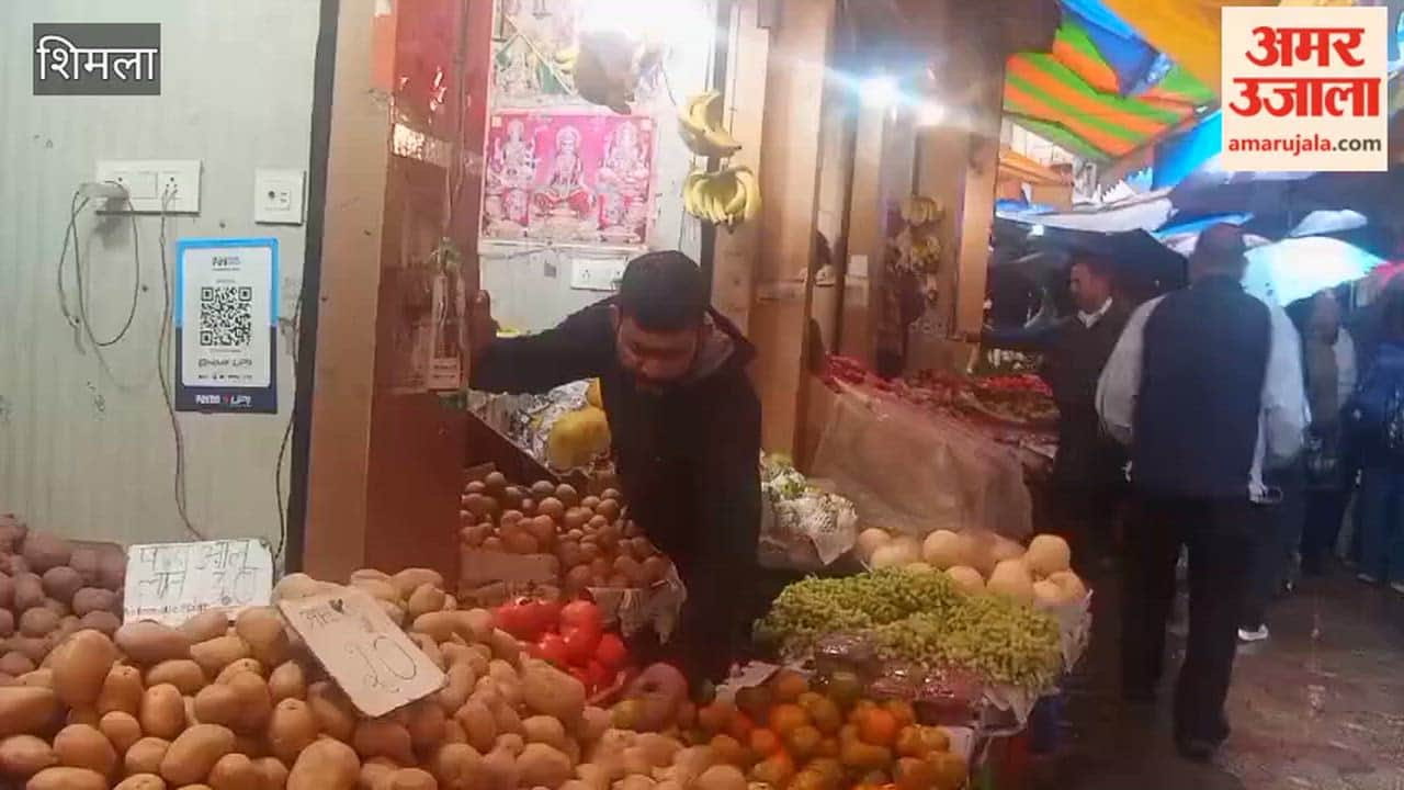 Shimla Fruit Prices Soar as Navratri Begins