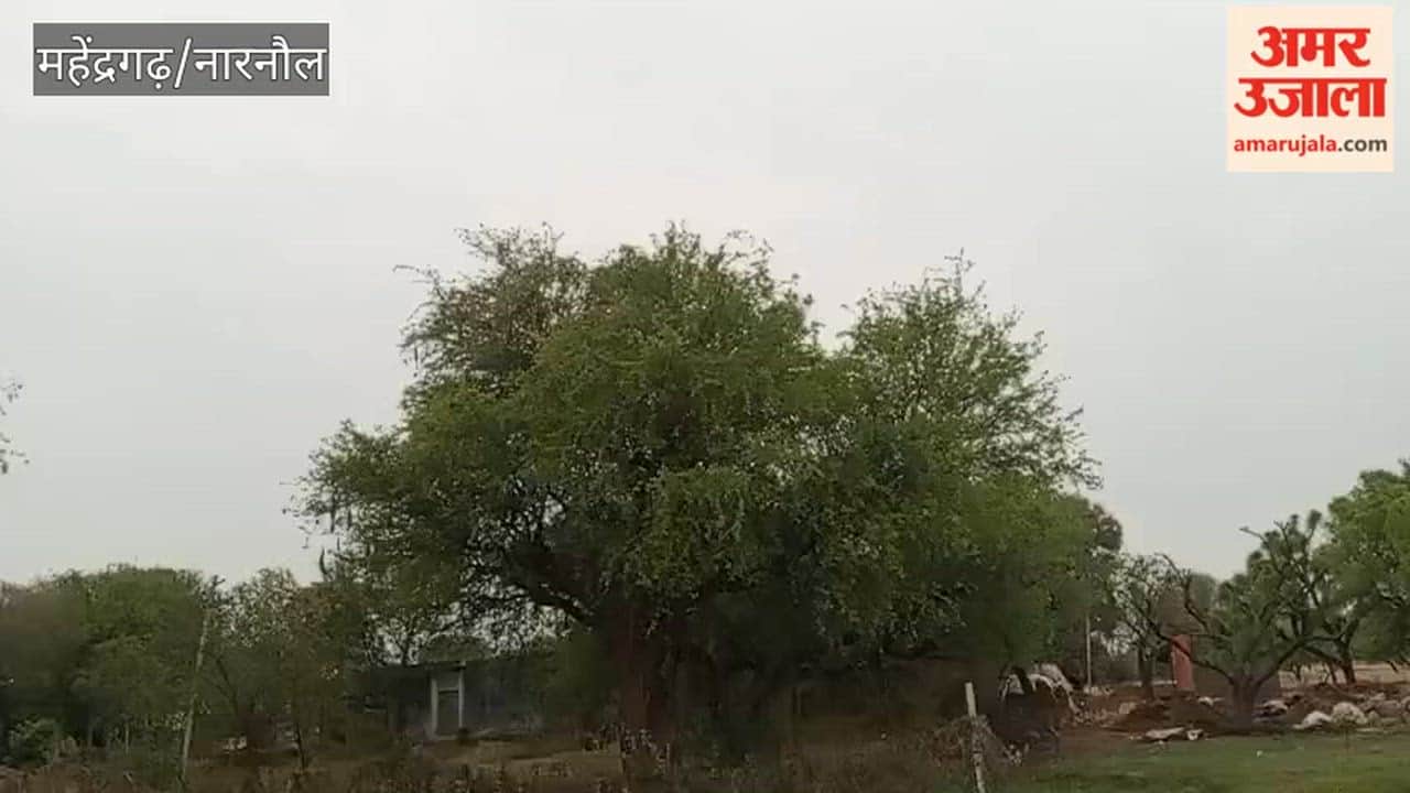 Strong winds have been blowing in Narnaul since morning, and there has also been light drizzle