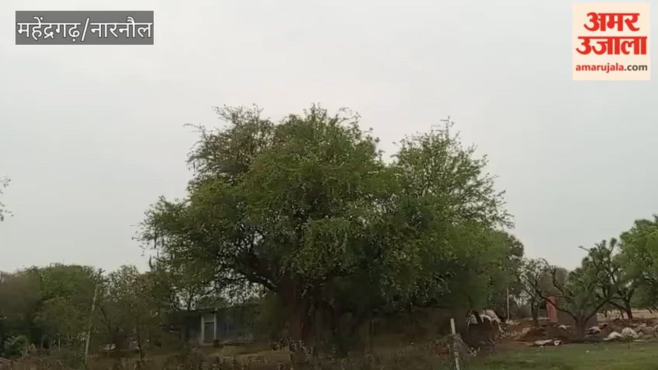 Strong winds have been blowing in Narnaul since morning, and there has also been light drizzle