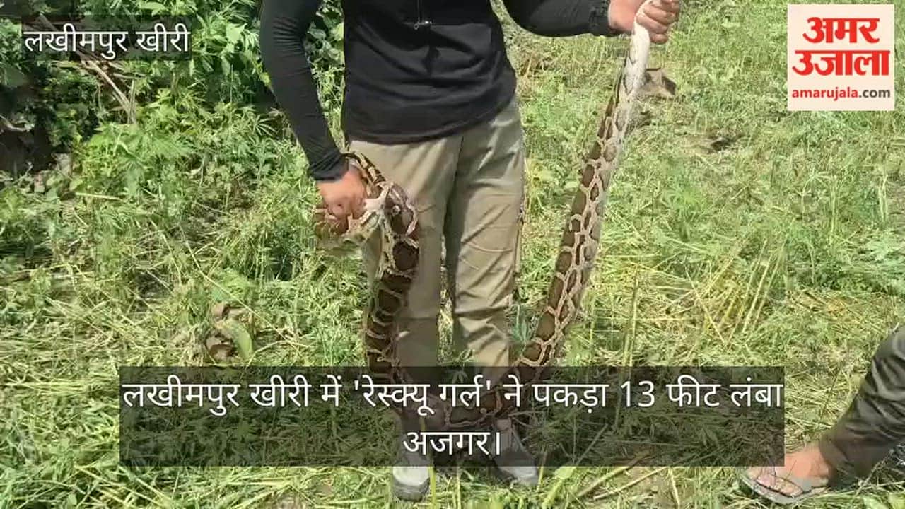 Rescue Girl Rescues Python in Lakhimpur Kheri